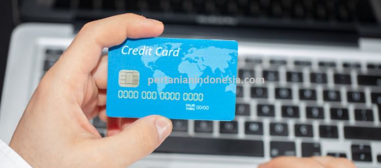 Harga Diskon, Strategi Harga Diskon, Toko Pertanian, Produk Pertanian, Harga Murah, Belanja Online, Pertanian Indonesia